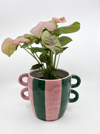 Cache - pot Mai Linh - Les Fleurs Sauvages - cache pot