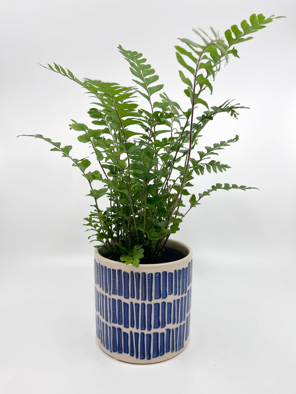 Cache - pot Sifnos - Les Fleurs Sauvages - 