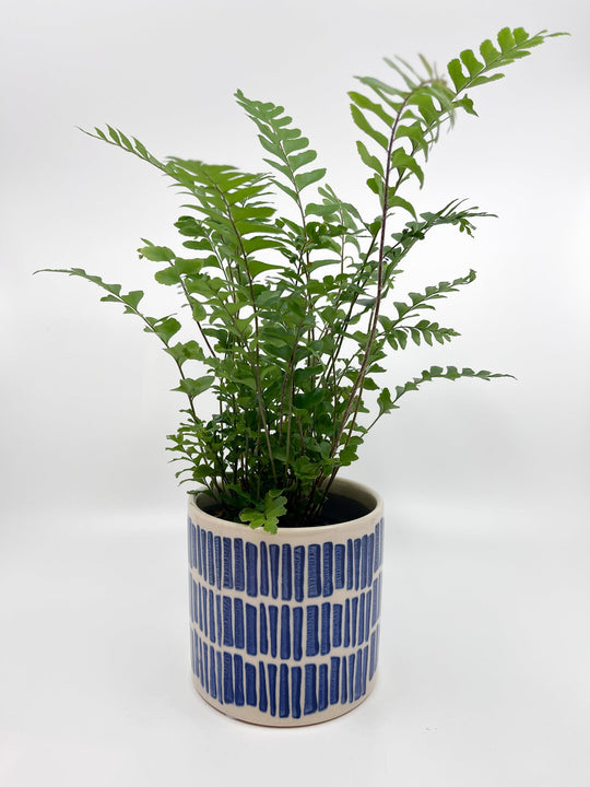 Cache - pot Sifnos - Les Fleurs Sauvages - 