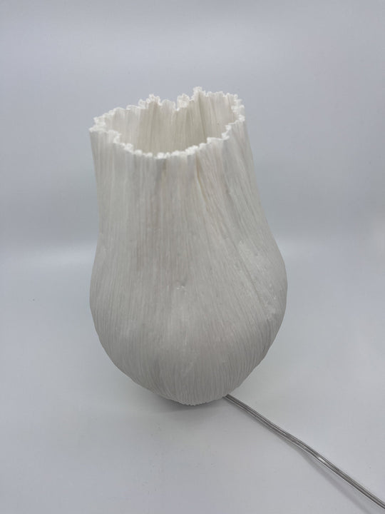Lampe S Charlot - Les Fleurs Sauvages - lampe