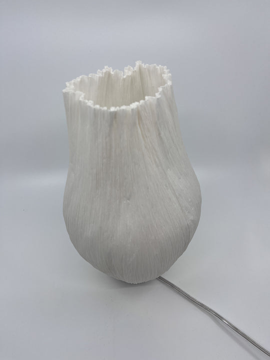 Lampe S Charlot