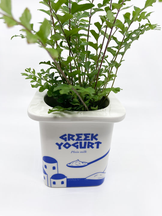 Cache-pot yaourt grec Fluid