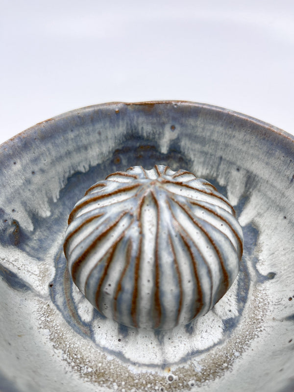 Presse agrume TOP - Les Fleurs Sauvages - presse agrume