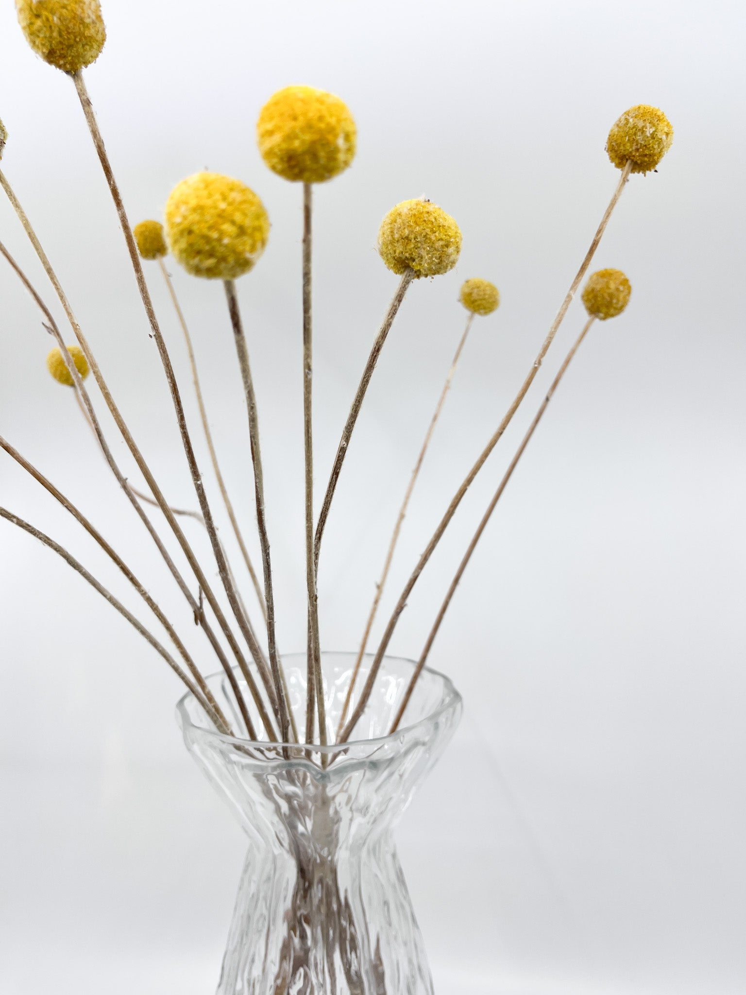 Vase Glace - Les Fleurs Sauvages - vase