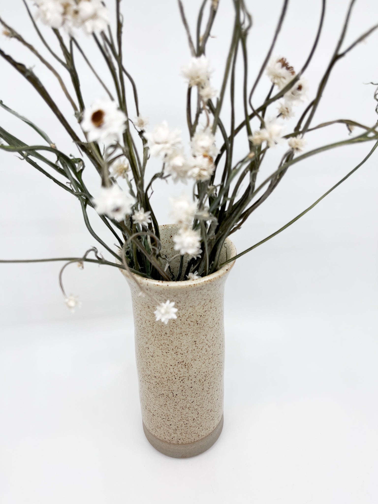 Vase Marguerite Collection Les Fleurs Sauvages - Les Fleurs Sauvages - vase