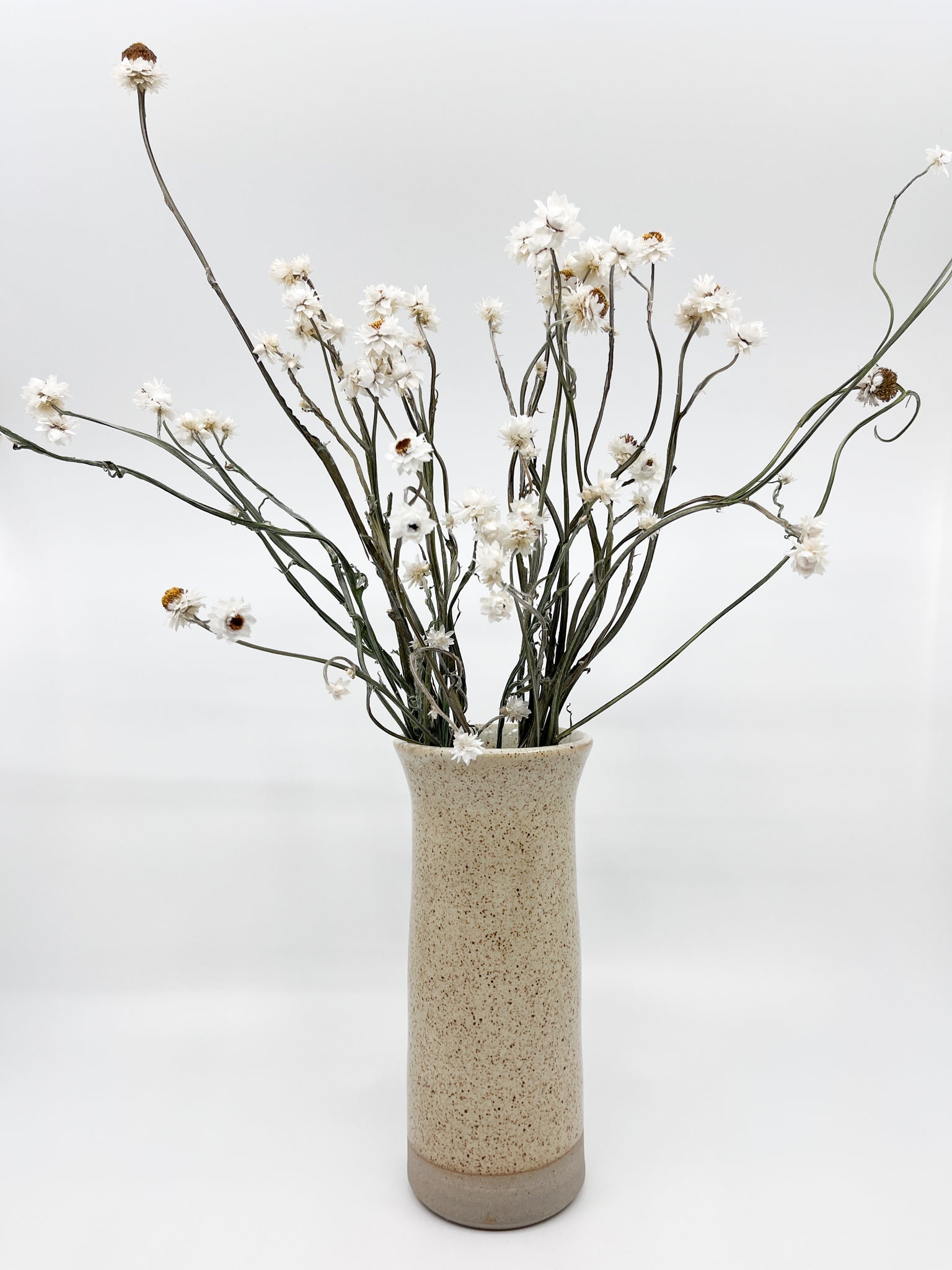 Vase Marguerite Collection Les Fleurs Sauvages - Les Fleurs Sauvages - vase