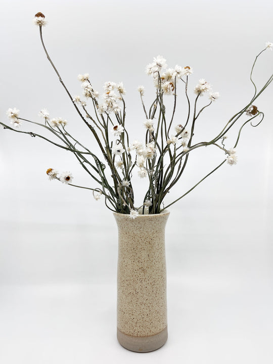 Vase Marguerite Collection Les Fleurs Sauvages - Les Fleurs Sauvages - vase