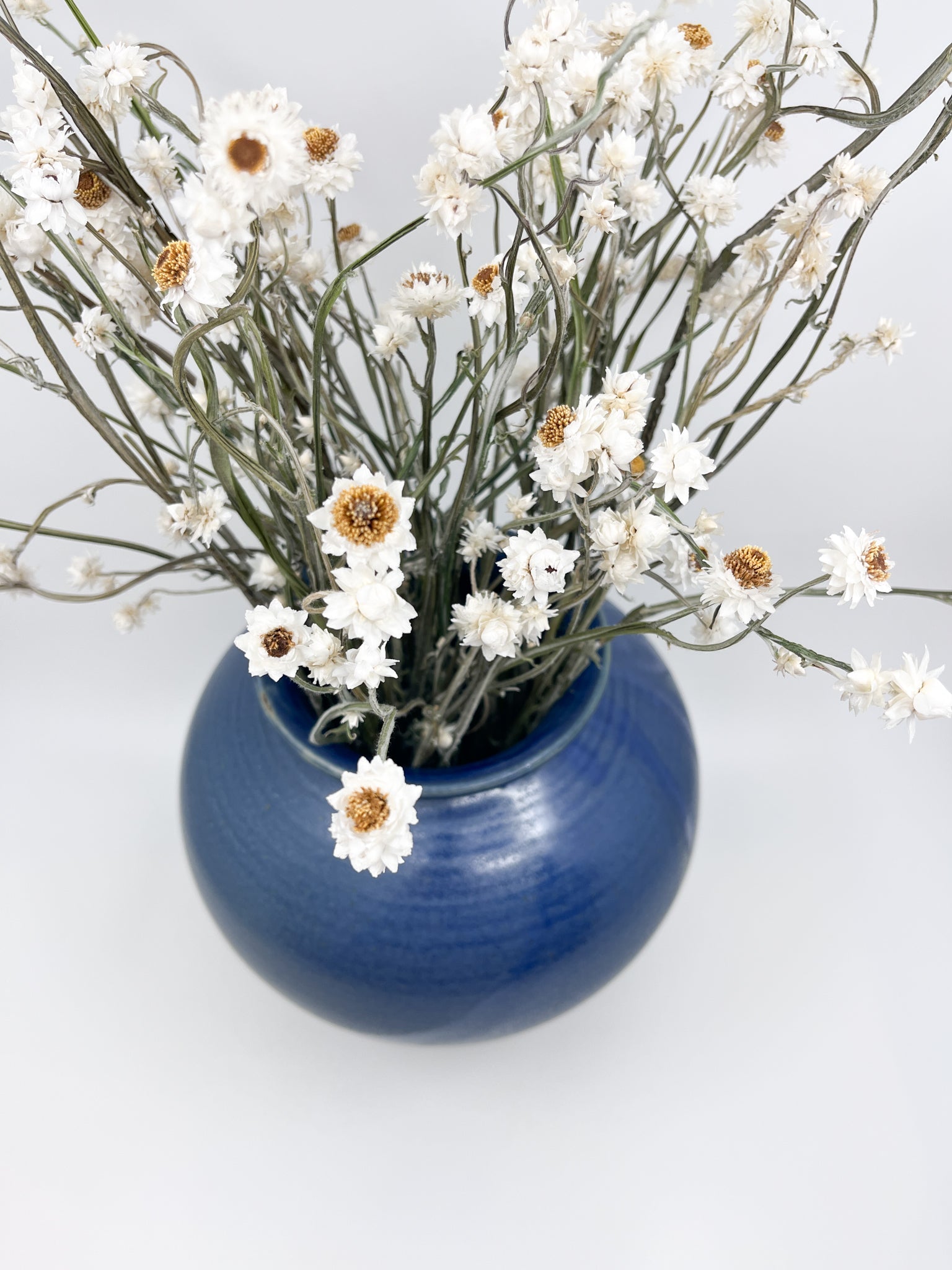 Vase Pensée Collection Les Fleurs Sauvages - Les Fleurs Sauvages - vase