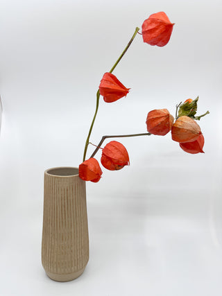 Vase Susan Mackie beige - Les Fleurs Sauvages - vase