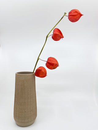 Vase Susan Mackie beige - Les Fleurs Sauvages - vase